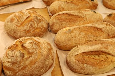 Ekmek ve fırın ürünleri bir mağazada sergileniyor.