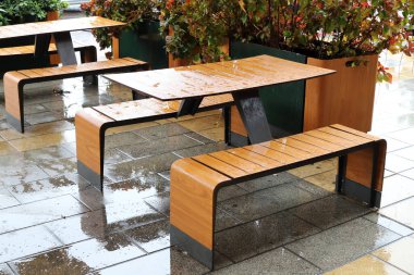 İsrail 'de bir şehir parkında dinlenme bankı.