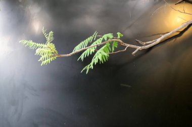 Işığın parlak yansımalarıyla soyut bir arkaplan. Vektör illüstrasyonu .