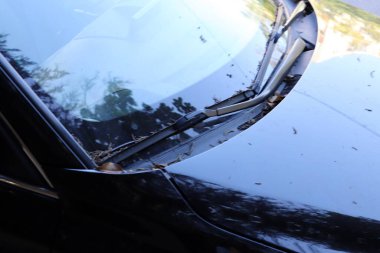 Bir arabanın gövdesine yakın çekim..