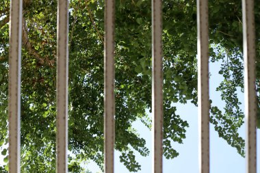 Kuzey İsrail 'deki bir şehir parkında bir çit..