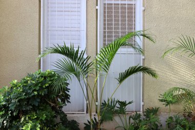 Tel Ayiv 'de konut inşaatında mimari bir detay olarak küçük bir pencere.