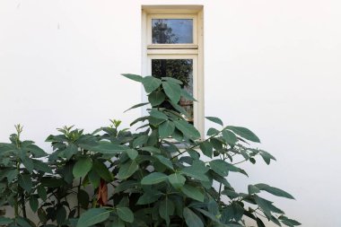 Tel Ayiv 'de konut inşaatında mimari bir detay olarak küçük bir pencere.