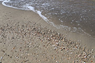 Tel Aviv 'de Akdeniz kıyısında bir sahil.