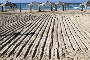 Tel Aviv 'de Akdeniz kıyısında bir sahil.