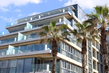 Tel Aviv İsrail 03 / 28 / 2024. Tel Aviv 'deki binalar ve yapılar yüksek ağaçların yaprakları arasında..