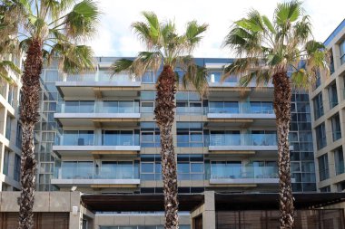 Tel Aviv İsrail 03 / 28 / 2024. Tel Aviv 'deki binalar ve yapılar yüksek ağaçların yaprakları arasında..