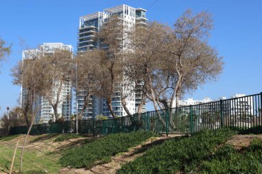 Tel Aviv İsrail 03 / 28 / 2024. Tel Aviv 'deki binalar ve yapılar yüksek ağaçların yaprakları arasında..