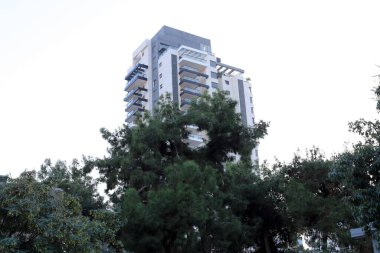 Tel Aviv İsrail 03 / 28 / 2024. Tel Aviv 'deki binalar ve yapılar yüksek ağaçların yaprakları arasında..