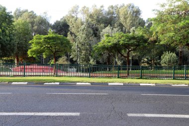 Tel Aviv İsrail 03 / 28 / 2024. Tel Aviv 'deki binalar ve yapılar yüksek ağaçların yaprakları arasında..