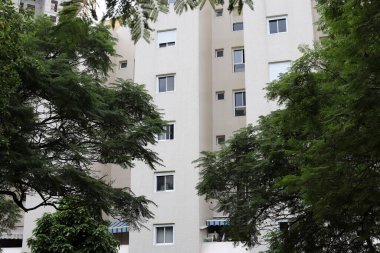 Tel Aviv İsrail 03 / 28 / 2024. Tel Aviv 'deki binalar ve yapılar yüksek ağaçların yaprakları arasında..