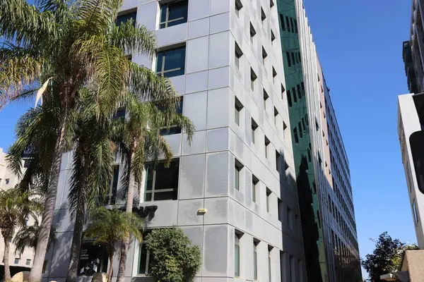 Tel Aviv İsrail 03 / 28 / 2024. Tel Aviv 'deki binalar ve yapılar yüksek ağaçların yaprakları arasında..