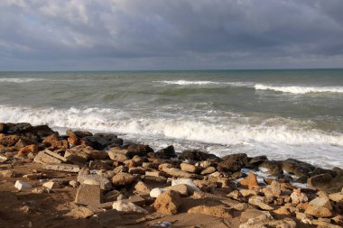 Akdeniz kıyısında taşlar ve kabuklar..