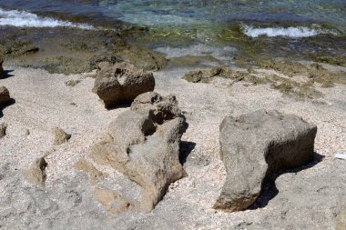 Akdeniz kıyısında taşlar ve kabuklar..