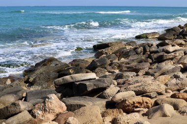 Akdeniz kıyısında taşlar ve kabuklar..