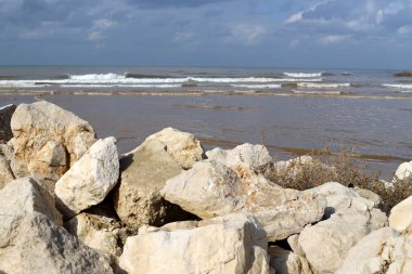 Akdeniz kıyısında taşlar ve kabuklar..