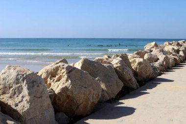 Akdeniz kıyısında taşlar ve kabuklar..
