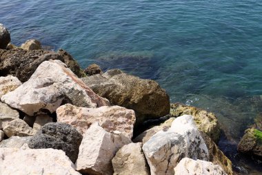 Akdeniz kıyısında taşlar ve kabuklar..