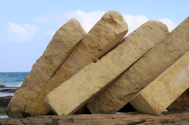 Akdeniz kıyısında taşlar ve kabuklar..