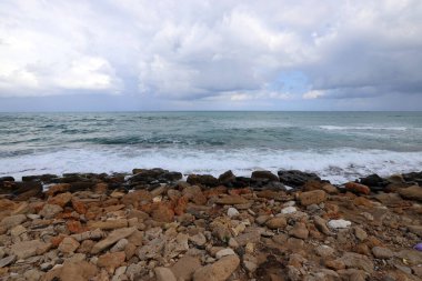 Akdeniz kıyısında taşlar ve kabuklar..
