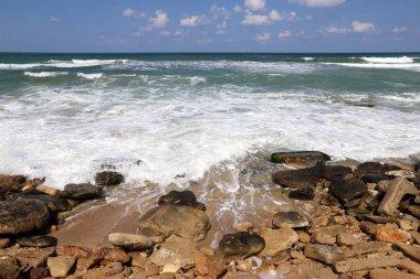 Akdeniz kıyısında taşlar ve kabuklar..