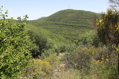 Kuzey İsrail 'deki dağların manzarası.