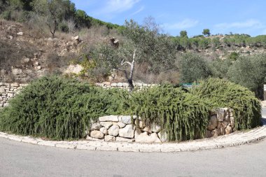 Kuzey İsrail 'deki dağların manzarası.