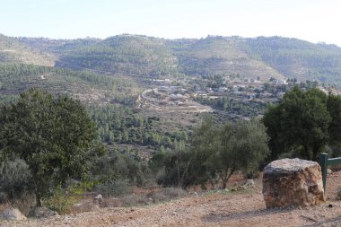 Kuzey İsrail 'deki dağların manzarası.