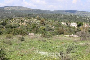 Kuzey İsrail 'deki dağların manzarası.