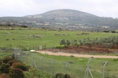 Kuzey İsrail 'deki dağların manzarası.