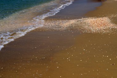 Kuzey İsrail 'de Akdeniz kıyısındaki kumsal.