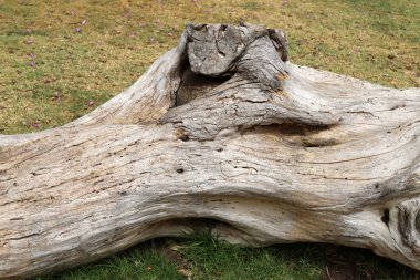 Ahşap ve ahşap ürünlerinin dokusu.