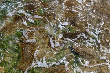 Akdeniz 'deki suyun sığ sulardaki rengi. Doğal soyut arkaplan.