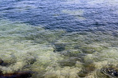 Akdeniz 'deki suyun sığ sulardaki rengi. Doğal soyut arkaplan.