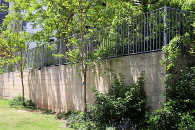 Şehir parkında çit boyunca yeşil bitkiler ve çiçekler yetişir..