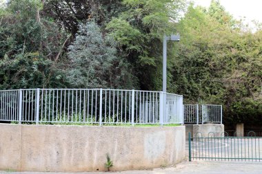 Şehir parkında çit boyunca yeşil bitkiler ve çiçekler yetişir..