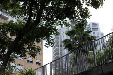 Şehir parkında çit boyunca yeşil bitkiler ve çiçekler yetişir..