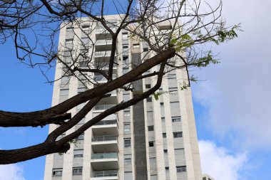 Tel Aviv 'deki binalar ve yapılar, uzun ağaç dalları ve yapraklarının arka planına karşı..