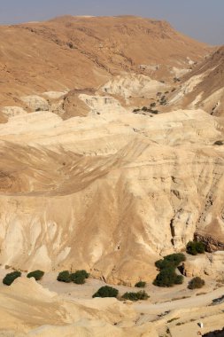 Orta Doğu 'daki Yahudi Çölü, İsrail ve Batı Şeria' da yer almaktadır..