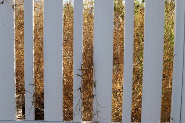 Mimari detaylar kapanıyor. Soyut geometrik arkaplan.