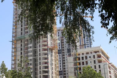 Şehirdeki bir caddede uzun bir ağacın tepesinden geçen bir bina..