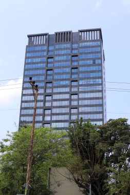 Şehirdeki bir caddede uzun bir ağacın tepesinden geçen bir bina..