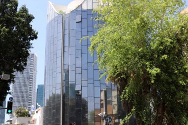 Şehirdeki bir caddede uzun bir ağacın tepesinden geçen bir bina..