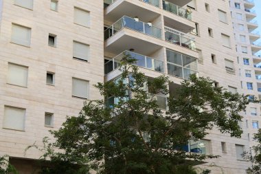 Şehirdeki bir caddede uzun bir ağacın tepesinden geçen bir bina..