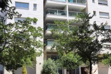 Şehirdeki bir caddede uzun bir ağacın tepesinden geçen bir bina..