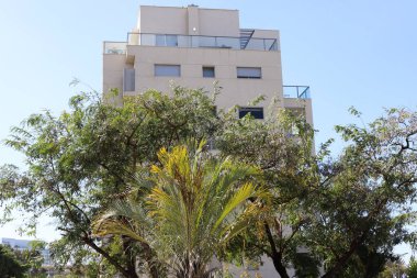 Şehirdeki bir caddede uzun bir ağacın tepesinden geçen bir bina..