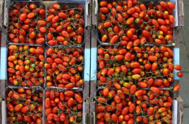 Sebze ve meyve İsrail 'de bir pazarda satılıyor..