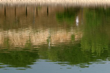 Renkli soyut arka plan. Pastel renkler ve gölgeler yumuşaklık ve sıcaklık hissi verir..