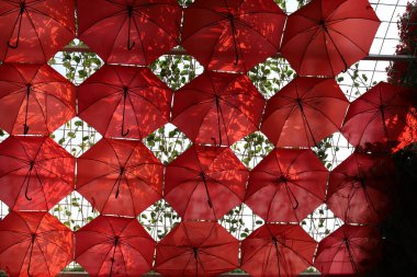 Şehir parkındaki sıcak güneşten korunmak için bir kubbe..