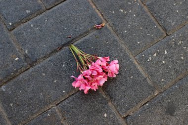 Şehir parkında kaldırımda düşen yapraklar ve çiçekler..